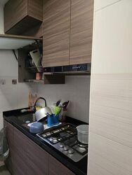 Blk 675B Fern Grove @ Yishun (Yishun), HDB 3 Rooms #639562871